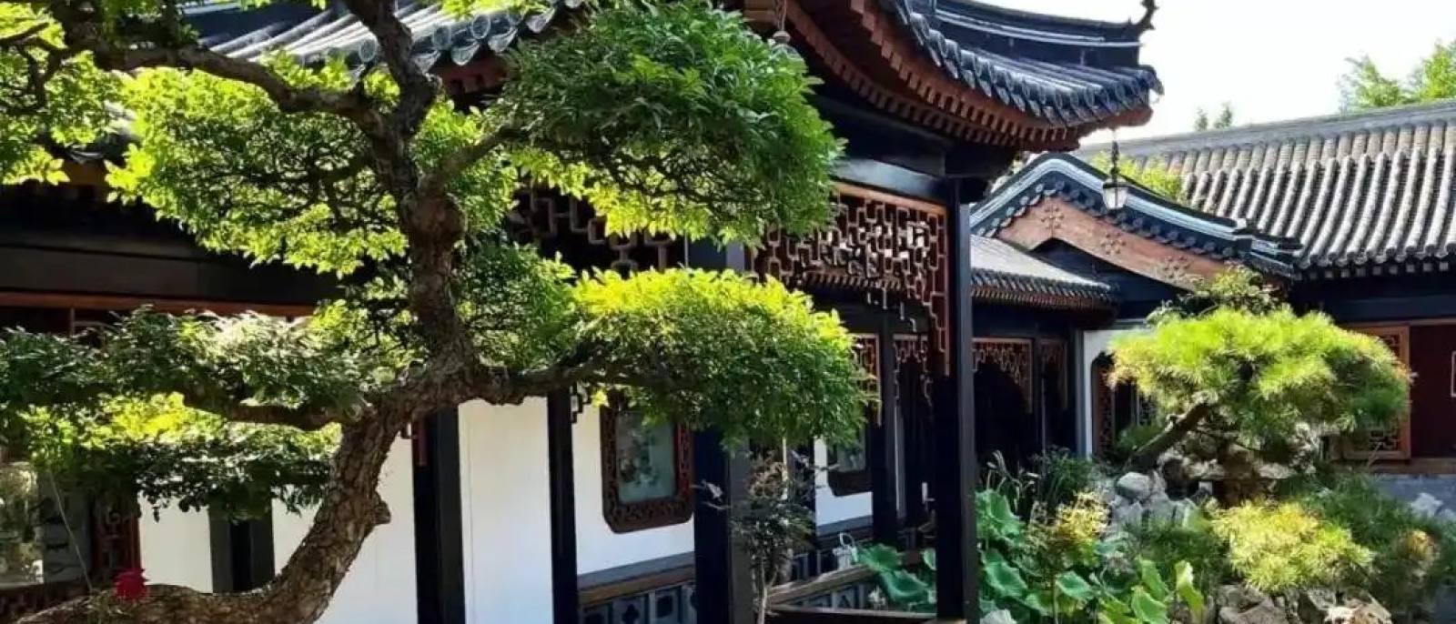 必一·运动(Bsports)官方网站园林绿化主视觉